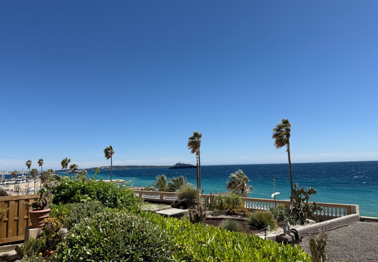 Appartement à Cannes - SEA VIEWS PORT